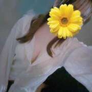 ヒメ日記 2025/10/31 17:27 投稿 めい プリコレ（PRINCESS COLLECTION）