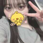 ヒメ日記 2025/11/11 16:53 投稿 めい プリコレ（PRINCESS COLLECTION）