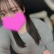 ヒメ日記 2025/11/12 14:36 投稿 めい プリコレ（PRINCESS COLLECTION）