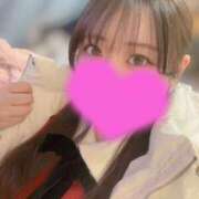 ヒメ日記 2025/12/13 19:51 投稿 めい プリコレ（PRINCESS COLLECTION）