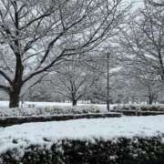 ヒメ日記 2026/02/11 20:28 投稿 めい プリコレ（PRINCESS COLLECTION）