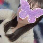 ヒメ日記 2026/04/01 20:16 投稿 めい プリコレ（PRINCESS COLLECTION）