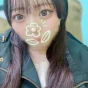 ヒメ日記 2026/04/05 19:05 投稿 めい プリコレ（PRINCESS COLLECTION）