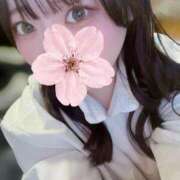 ヒメ日記 2026/04/13 20:05 投稿 めい プリコレ（PRINCESS COLLECTION）