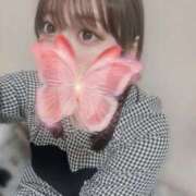 ヒメ日記 2026/06/03 23:11 投稿 めい プリコレ（PRINCESS COLLECTION）