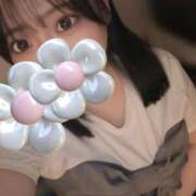 ヒメ日記 2026/06/13 17:49 投稿 めい プリコレ（PRINCESS COLLECTION）