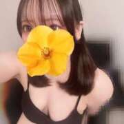 ヒメ日記 2026/06/23 18:09 投稿 めい プリコレ（PRINCESS COLLECTION）