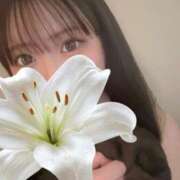 ヒメ日記 2026/08/14 19:25 投稿 めい プリコレ（PRINCESS COLLECTION）