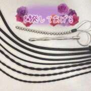 ヒメ日記 2026/04/22 10:44 投稿 椎葉いちか 成田快楽Ｍ性感倶楽部～前立腺マッサージ専門～