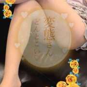 ヒメ日記 2026/04/24 18:44 投稿 椎葉いちか 成田快楽Ｍ性感倶楽部～前立腺マッサージ専門～