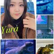 ヒメ日記 2025/01/11 19:45 投稿 Yura 五反田M性感フェチ倶楽部 マスカレード