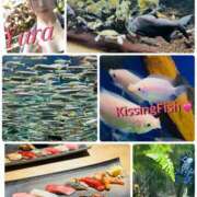 ヒメ日記 2025/07/19 21:00 投稿 ゆら マイクロビキニSPA TOKYO新宿