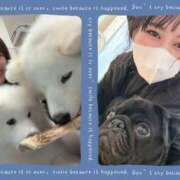 ヒメ日記 2024/12/30 10:41 投稿 新木場なお THE痴漢電車.com