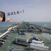 ヒメ日記 2025/03/29 09:23 投稿 新木場なお THE痴漢電車.com