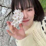 ヒメ日記 2025/04/12 12:23 投稿 新木場なお THE痴漢電車.com