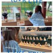 ヒメ日記 2025/07/27 08:53 投稿 新木場なお THE痴漢電車.com