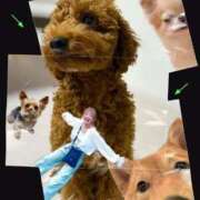 ヒメ日記 2025/08/26 17:16 投稿 新木場なお THE痴漢電車.com