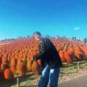 ヒメ日記 2025/11/08 08:03 投稿 新木場なお THE痴漢電車.com