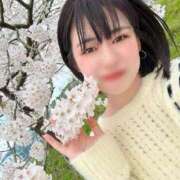 ヒメ日記 2026/01/10 12:23 投稿 新木場なお THE痴漢電車.com