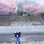 ヒメ日記 2026/02/26 00:13 投稿 新木場なお THE痴漢電車.com