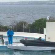 ヒメ日記 2026/03/05 09:43 投稿 新木場なお THE痴漢電車.com