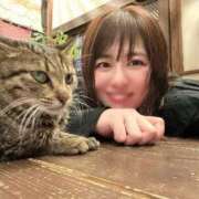 ヒメ日記 2026/03/17 12:03 投稿 新木場なお THE痴漢電車.com