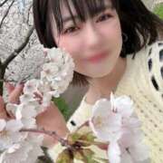 ヒメ日記 2026/03/20 08:43 投稿 新木場なお THE痴漢電車.com