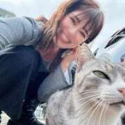 ヒメ日記 2026/03/21 23:28 投稿 新木場なお THE痴漢電車.com