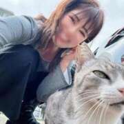 ヒメ日記 2026/03/29 23:25 投稿 新木場なお THE痴漢電車.com