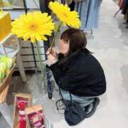 ヒメ日記 2026/03/31 08:38 投稿 新木場なお THE痴漢電車.com