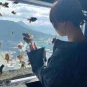 ヒメ日記 2026/04/15 22:33 投稿 新木場なお THE痴漢電車.com