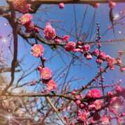 柊　ゆうな 明日から！🌸 Amateras～アマテラス～