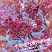 ヒメ日記 2026/03/26 20:51 投稿 柊　ゆうな Amateras～アマテラス～