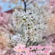 ヒメ日記 2026/04/04 13:24 投稿 柊　ゆうな Amateras～アマテラス～