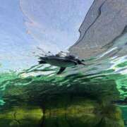 ヒメ日記 2025/10/10 22:35 投稿 すみれ 学校帰りの妹に手コキしてもらった件 谷九