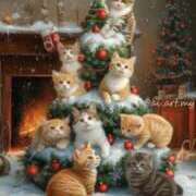 ヒメ日記 2024/12/24 20:15 投稿 こはる 奥様鉄道69 東京店