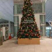 ヒメ日記 2025/11/23 20:05 投稿 こはる 奥様鉄道69 東京店