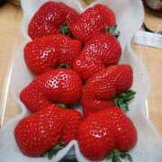 こはる おはようございます 奥様鉄道69 東京店