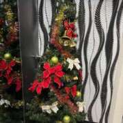 ヒメ日記 2025/12/19 20:07 投稿 Ｋumi（くみ） AMATERAS(アマテラス)(福山)