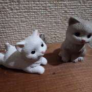 ヒメ日記 2025/10/21 16:34 投稿 夏恋(かれん) あなたの妻