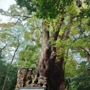 ヒメ日記 2025/11/07 13:36 投稿 夏恋(かれん) あなたの妻