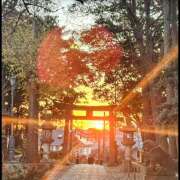 ヒメ日記 2025/11/07 20:51 投稿 夏恋(かれん) あなたの妻