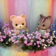 まゆ 11日出勤します リアル 梅田店