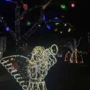 ヒメ日記 2024/12/22 01:07 投稿 れな 岐阜岐南各務原ちゃんこ