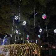 ヒメ日記 2024/12/23 01:57 投稿 れな 岐阜岐南各務原ちゃんこ