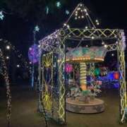 ヒメ日記 2024/12/24 01:57 投稿 れな 岐阜岐南各務原ちゃんこ