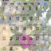 ヒメ日記 2025/06/02 11:42 投稿 ひとみ クラブルージュ