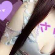 ヒメ日記 2025/03/14 14:49 投稿 さゆ サンクチュアリ(上野)