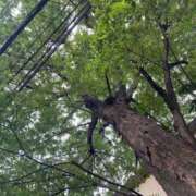 ヒメ日記 2025/07/18 12:23 投稿 あん しろうと娘　本店