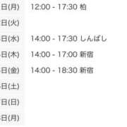 ヒメ日記 2025/12/01 12:00 投稿 こつめ 世界のあんぷり亭 新橋店